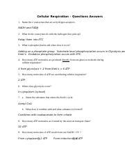 02Csup 3 1 Pdf Cellular Respiration Questions Answers 1 Name The