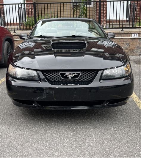 03 Mustang: The Ultimate Guide to Performance, Features, and Customization