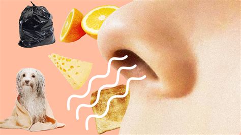 1 In 15 Americans Over 40 Smell Odors That Aren T Really There