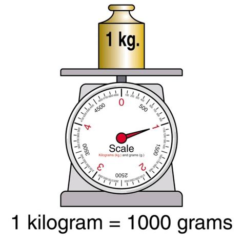 1 Kilogram to Grams Conversion