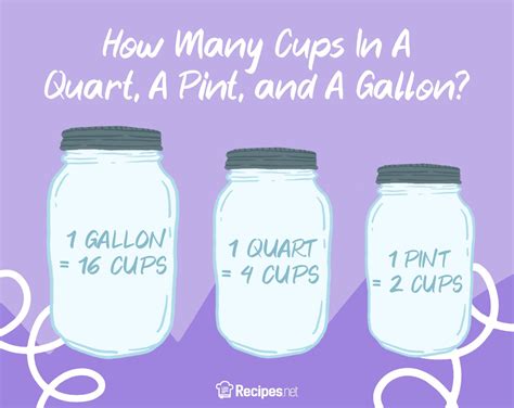 1 Quart Vs 1 Pint 1 Quart Vs 1 Pint