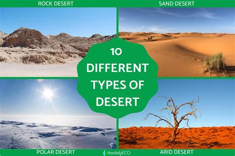10 Different Types Of Deserts With Photos