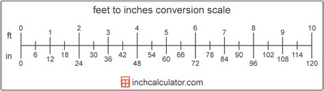 5 Ways To Use 10 Ft Inches