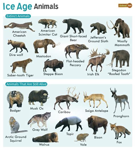 10 Ice Age Animals Meet The Extraordinary Prehistoric Beasts That Thrived When The World Was Frozen Discover Wildlife Ice Age Animals