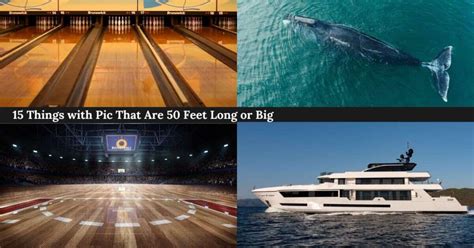10 Things That Are 50 Feet Long Or Big