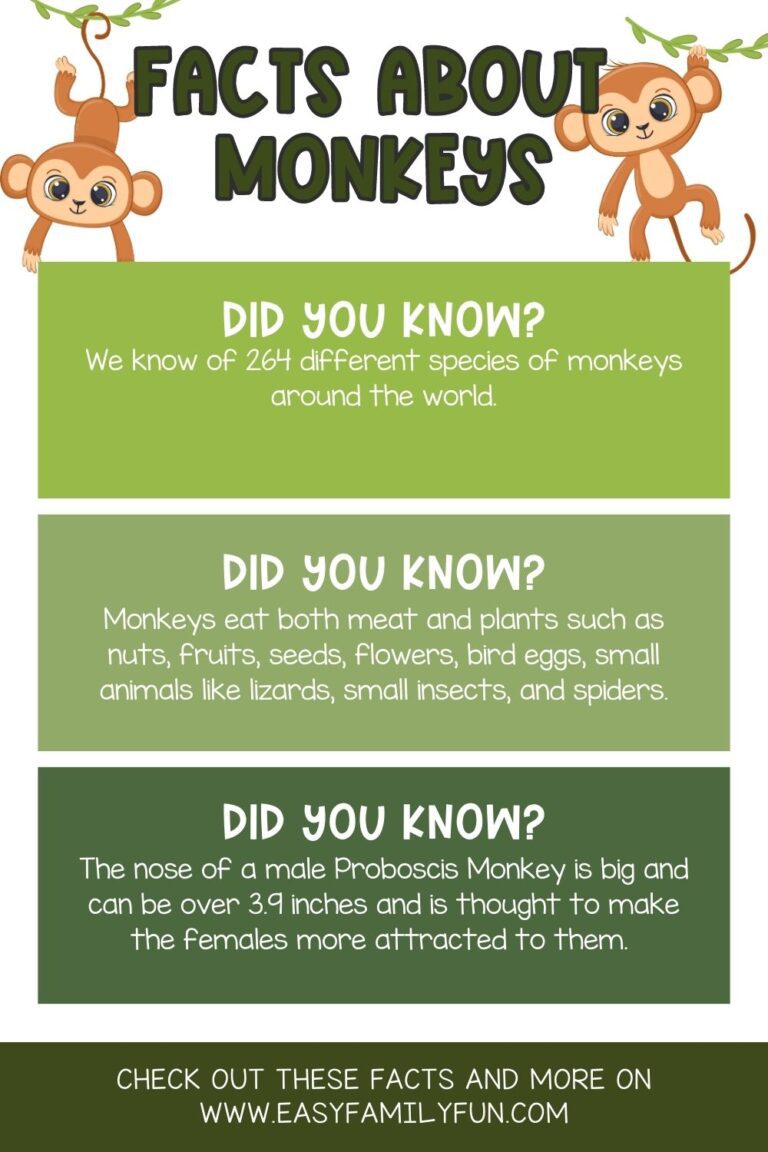 100 Marvelous Facts About Monkeys