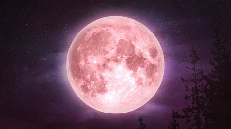 100 Pink Moon Wallpapers Wallpapers Com