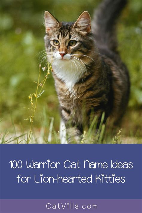 100 Warrior Cat Names For Lion Hearted Kitties 100 Warrior Cat Names For Lion Hearted Kitties