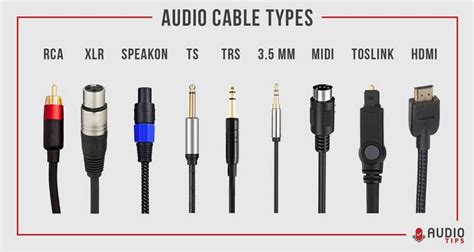 11 Audio Cable Types Explained 2023 With Infographic Audio Tips