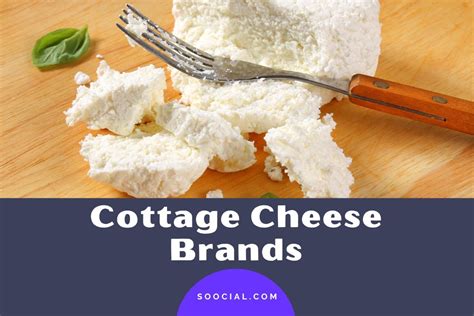 11 Cottage Cheese Brands To Discover Deliciousness Soocial