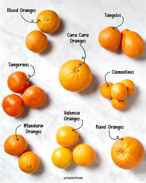 11 Types Of Oranges And How To Use Them The Kitchn 11 Types Of Oranges And How To Use Them The Kitchn