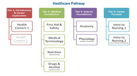 12 Examples Of Health Career Pathways