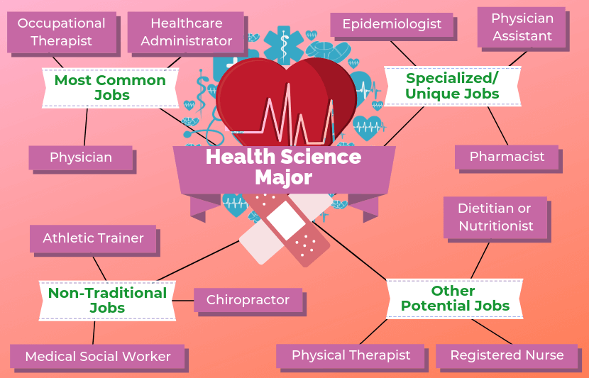 12 Jobs For Health Science Majors The University Network Health