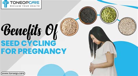 12 Surprising Melon Seed Benefits For Female Toneopcare