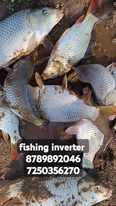 12Fit Maximum Effective Range 12V Fishingrod Batter Fishingequipment