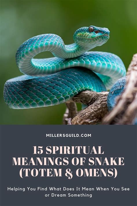 15 Spiritual Meanings Of Snake Totem Omens 15 Spiritual Meanings Of Snake Totem Omens