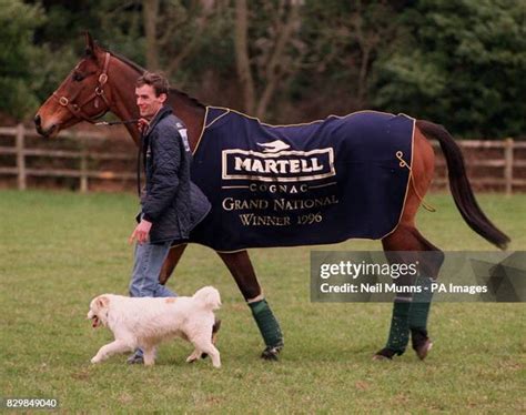 16 625 Grand National Winner Stock Photos High Res Pictures And Images Getty Images