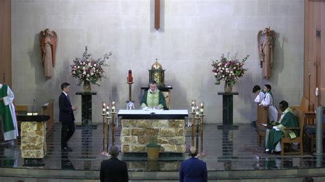 16Th Sunday In Ordinary Time St Vincent De Paul Church Houston 7 21 24 11 00 Am Mass 16Th Sunday In Ordinary Time St Vincent De Paul Church Houston 7 21 24 11 00 Am Mass