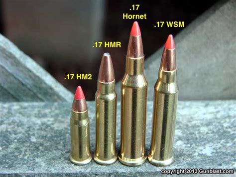 17 Hornet Vs 17 Hmr