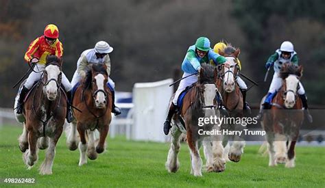 17 The Exeter Racecourse Clydesdale Stakes Stock Photos High Res 17 The Exeter Racecourse Clydesdale Stakes Stock Photos High Res
