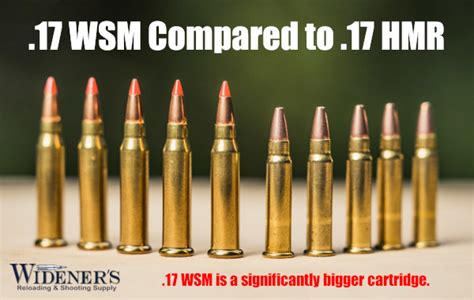 17 Wsm The Fastest Rimfire Explained 17 Wsm The Fastest Rimfire Explained