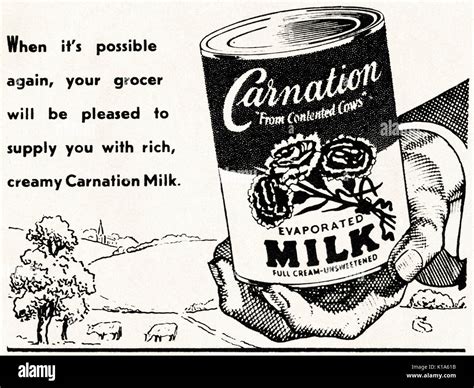 1954 Carnation Evaporated Milk Vintage Ad Advertising Art Magazine Ad Kitchen Decor Print Ad Great To Frame Etsy Israel