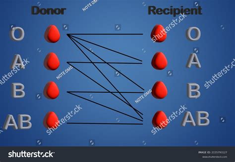 198 Donor Recipient Compatibility Images Stock Photos Amp Vectors