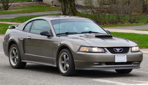 1999 Ford Mustang Reviews Verified Owners Surecritic