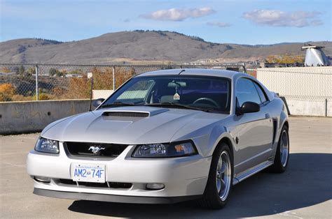 1999 Ford Mustang Ultimate Guide 1999 Ford Mustang Ultimate Guide