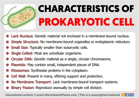 2 3 Unique Characteristics Of Prokaryotic Cells Allied Health Microbiology
