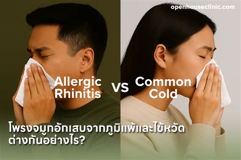 2 Common Allergic Conditions When It Turns Cold Bepharco 2 Common Allergic Conditions When It Turns Cold Bepharco