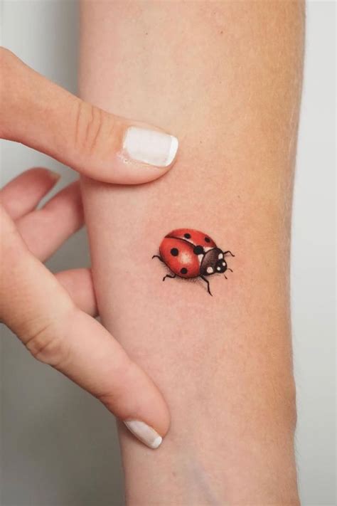 20 Inspiring Lady Bug Tattoo Ideas 20 Inspiring Lady Bug Tattoo Ideas
