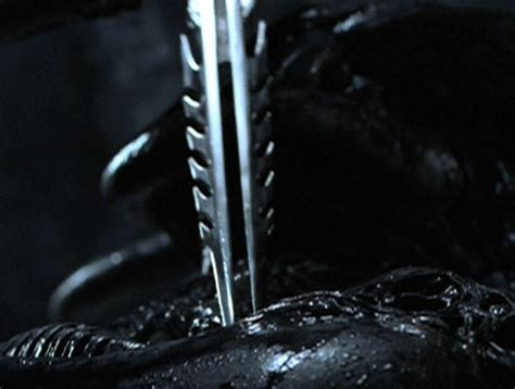 2013 Wiki Depredador Avp Fandom 2013 Wiki Depredador Avp Fandom