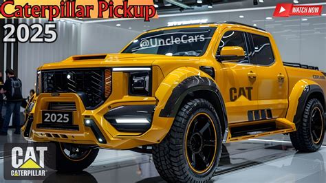 2025 Cat Pickup Trends You Need to Know