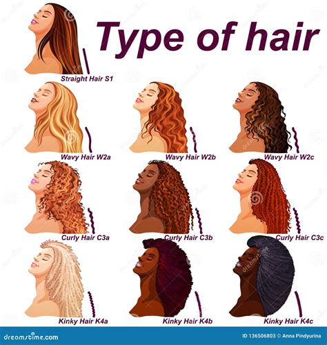 205 Women Different Hair Types Stock Photos Free Amp Royalty Free Stock