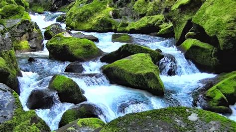 21 Lajes Air Base Stock Video Footage 4K And Hd Video Clips Shutterstock