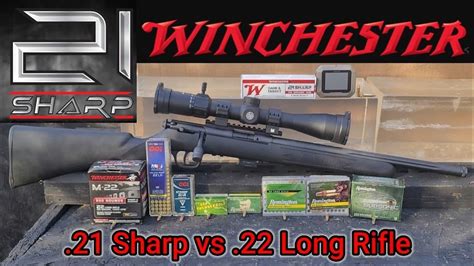 21 Sharp Vs 22 Long Rifle Gel Test Very Surprising Results Youtube