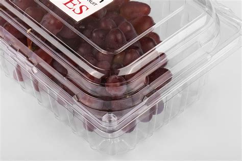 221395 Clear Container Plastic Clamshell Grapes Packaging Stlpak