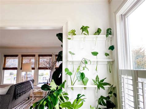 23 Indoor Plant Wall Ideas To Bring Life To Any Room 23 Indoor Plant Wall Ideas To Bring Life To Any Room
