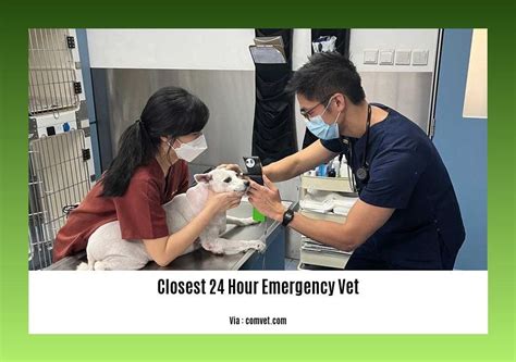 24 Hour Vet Emergency Clinic