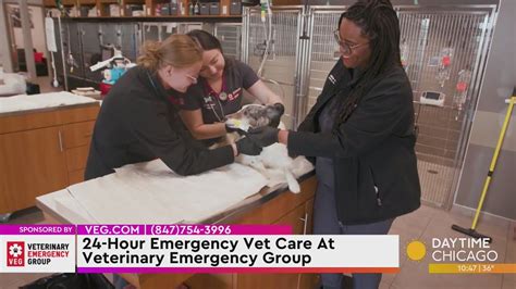 24 Hour Veterinary Emergency