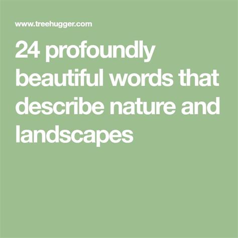 24 Profoundly Beautiful Words That Describe Nature And Landscapes