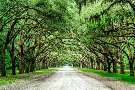 25 Spring Break Road Trip Ideas Greenvans 25 Spring Break Road Trip Ideas Greenvans