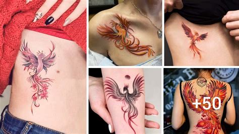 29 Tatuajes Del Ave F Nix Con Significado Para Mujeres Y Hombres