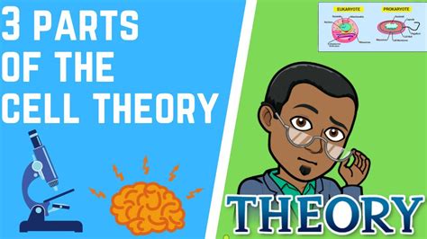 3 Parts Of The Cell Theory Youtube