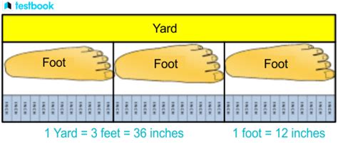 3 Ways To Convert Yards To Feet