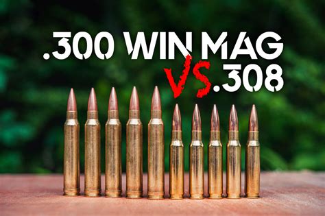 300 Win Mag Vs 308 Win 2025 Ammo Comparison 300 Win Mag Vs 308 Win 2025 Ammo Comparison