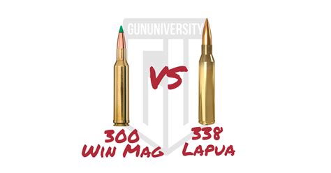 300 Win Mag Vs 338 Lapua Vs 338 Win Mag I Natchez 300 Win Mag Vs 338 Lapua Vs 338 Win Mag I Natchez