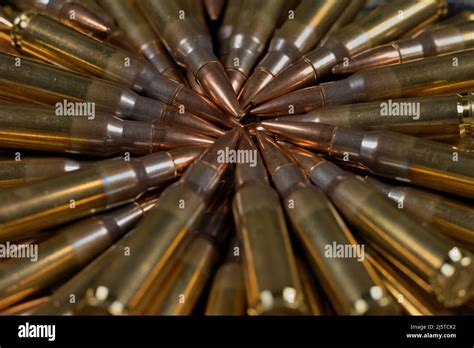 308 Caliber Ammunition Lying In A Circle Stock Photo Alamy 308 Caliber Ammunition Lying In A Circle Stock Photo Alamy