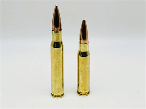 308 Caliber Vs 30 06 Detailed Comparison